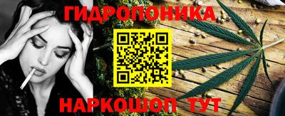 гашик Ликино-Дулёво