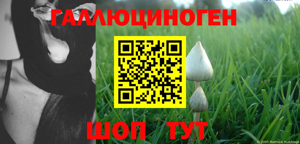 Галлюциногенные грибы Cubensis  Вход с VPN  Чехов 